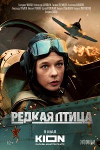 <h1>Редкая птица</h1>