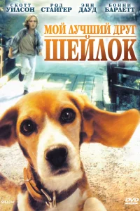 <h1>Мой лучший друг Шейлок</h1>
