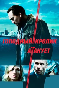 <h1>Ac dovşan hücum edir</h1>