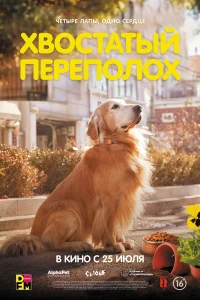 <h1>Хвостатый переполох</h1>
