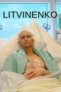 <h1>Литвиненко</h1>