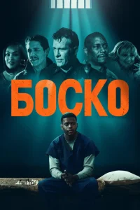 <h1>Боско</h1>
