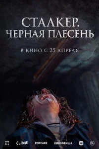 <h1>Сталкер. Черная плесень</h1>