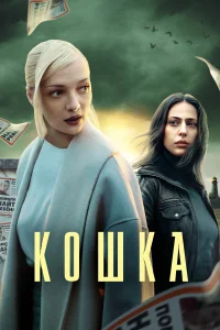 <h1>Кошка</h1>