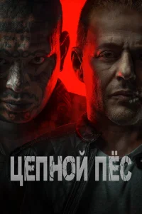 <h1>Цепной пёс</h1>