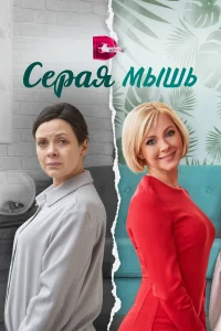 <h1>Серая мышь</h1>