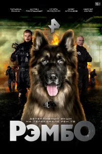 <h1>РэмбО</h1>
