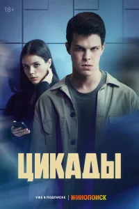 <h1>Цикады</h1>