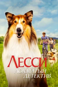 <h1>Лесси - лохматый детектив</h1>