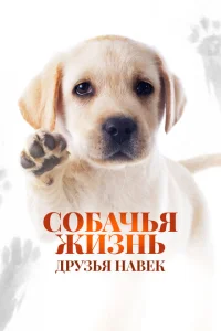 <h1>Собачья жизнь: Друзья навек</h1>