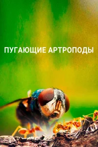 <h1>Пугающие артроподы</h1>