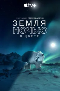 <h1>Земля ночью в цвете</h1>