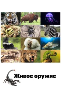 <h1>Живое оружие</h1>