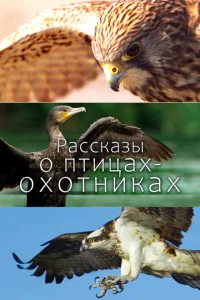 <h1>Рассказы о птицах-охотниках</h1>