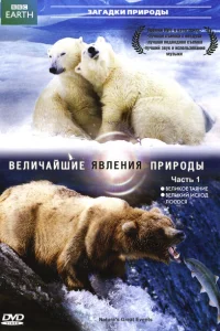 <h1>BBC: Величайшие явления природы</h1>