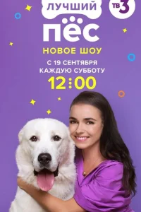 <h1>Лучший пёс</h1>