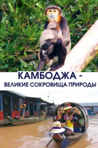 <h1>Камбоджа - великие сокровища природы</h1>