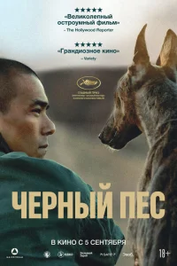 <h1>Чёрный пёс</h1>