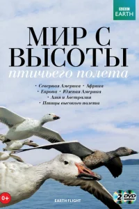 <h1>Мир с высоты птичьего полета</h1>