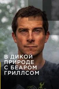 <h1>В дикой природе с Беаром Гриллсом</h1>