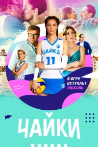 <h1>Чайки</h1>