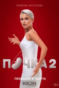 <h1>Почка</h1>