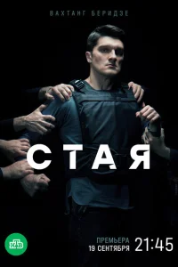<h1>Стая</h1>