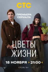 <h1>Цветы жизни</h1>