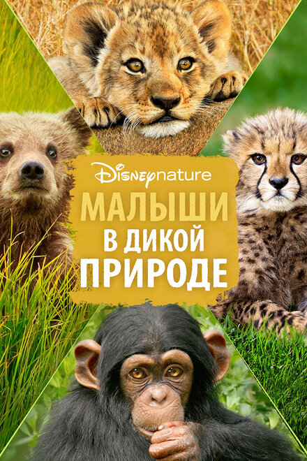 <h1>Малыши в дикой природе</h1>
