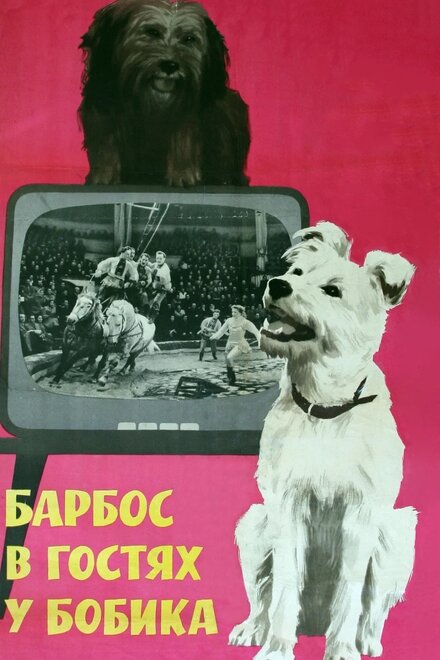 <h1>Барбос в гостях у Бобика</h1>