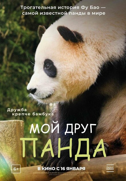 <h1>Мой друг панда</h1>