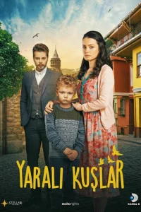 <h1>Раненые птицы</h1>
