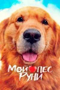 <h1>Мой пёс Руни</h1>