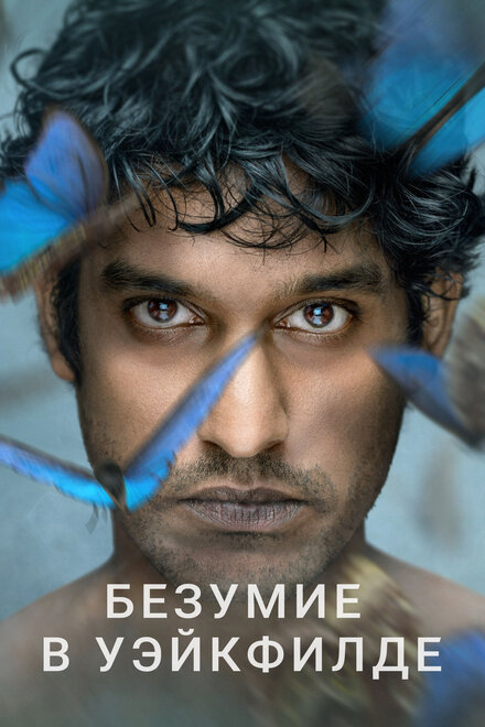 <h1>Безумие в Уэйкфилде</h1>
