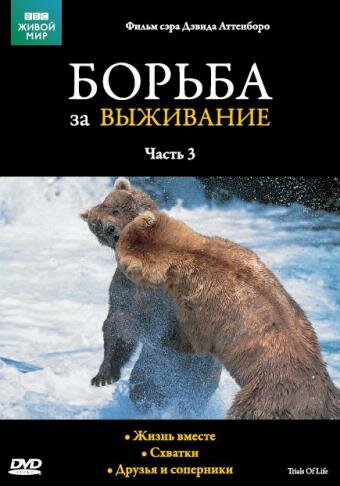 <h1>BBC: Борьба за выживание</h1>