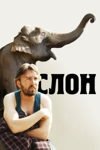 <h1>Слон</h1>