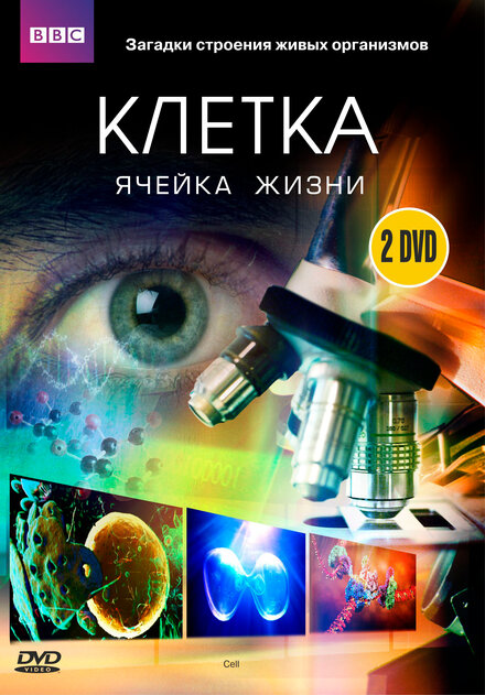 <h1>BBC: Клетка</h1>
