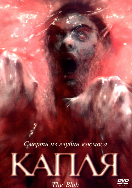 <h1>Капля</h1>