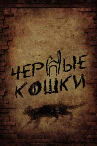 <h1>Черные кошки</h1>