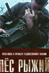 <h1>Пёс рыжий</h1>