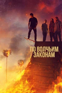 <h1>По волчьим законам</h1>