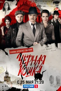<h1>Чёрная кошка</h1>