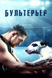 <h1>Бультерьер</h1>