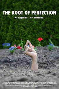 <h1>Корень совершенства</h1>