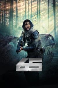 <h1>65</h1>