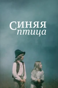 <h1>Синяя птица</h1>