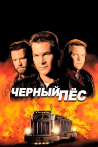 <h1>Черный пес</h1>