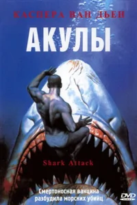 <h1>Акулы</h1>