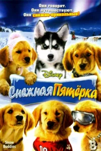 <h1>Снежная пятерка</h1>