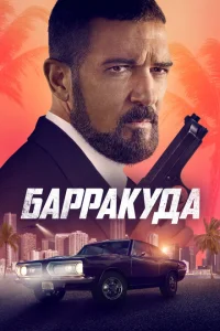 <h1>Барракуда</h1>